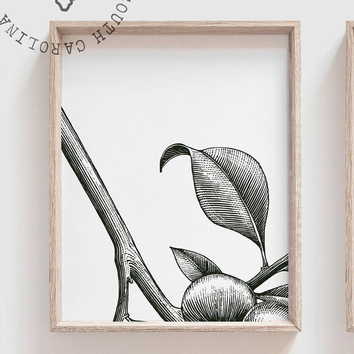 Modern home decor wall art, dining room entry way living room gallery wall art idea, botanical fruit wall art prints, kitchen plant wall art