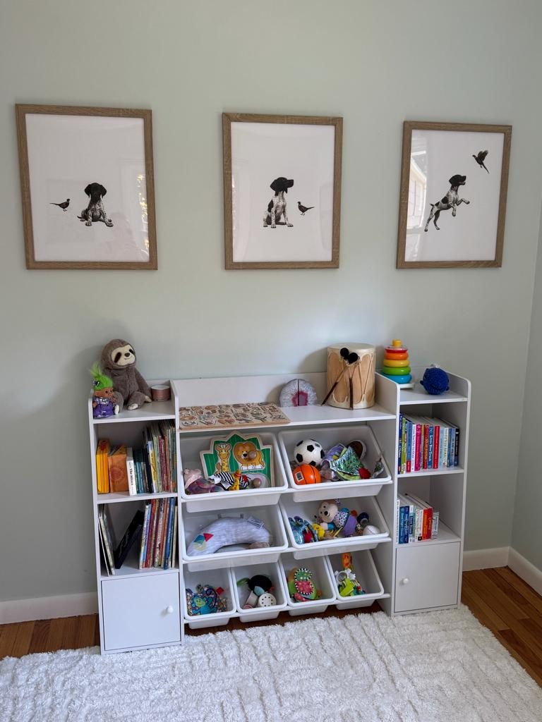 Customer photo of three Design South bird dog prints above a toy shelf in a kid's room.