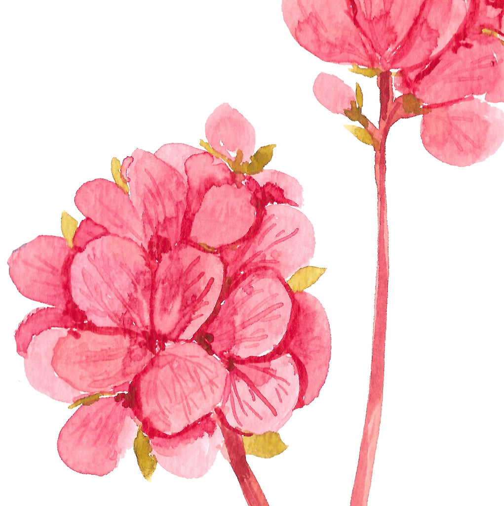 Home decor wall art, adult bathroom, guest bathroom, botanical watercolor wall art prints, bathroom wall decor, floral bathroom, flower art