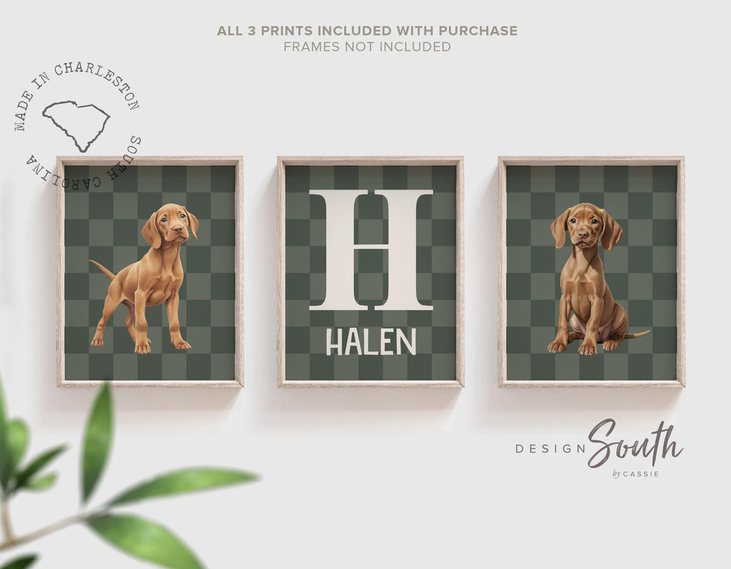 Custom Vizsla Puppy Wall Art: Green Checkerboard Nursery Prints with Name & Initial, Set of 3