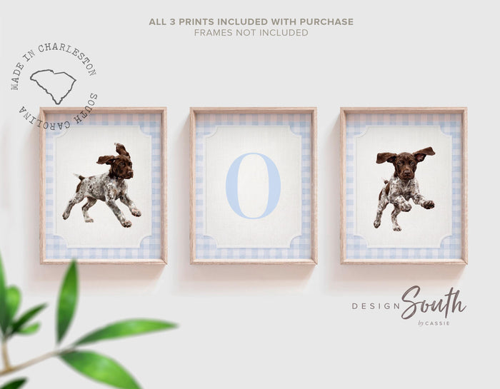German Shorthaired Pointer Wall Art Set of 3, GSP Puppy Nursery Decor, Personalized Boys Bird Dog Prints, Blue Gingham Hunting Room Art