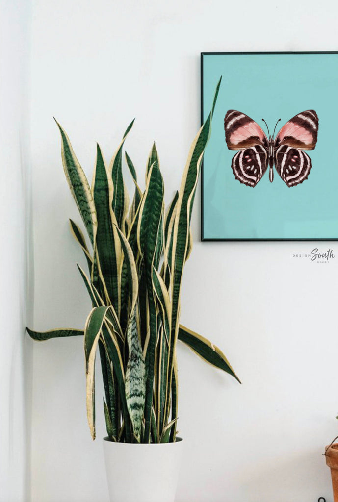 Pastel butterflies, girl nursery butterfly themed, room decor butterflies, newborn baby butterfly gift, butterfly baby shower gift, baby art