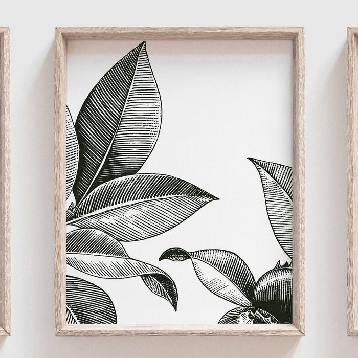 Modern home decor wall art, dining room entry way living room gallery wall art idea, botanical fruit wall art prints, kitchen plant wall art