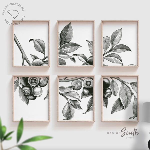 Home Decor