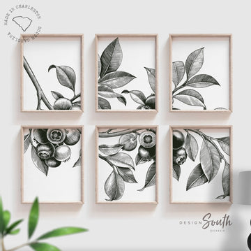 Modern home decor wall art, dining room entry way living room gallery wall art idea, botanical fruit wall art prints, kitchen plant wall art